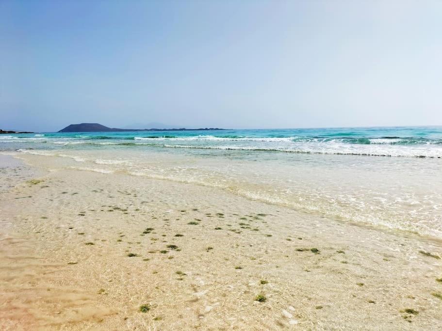 شقة Oceanview Retreat كوراليهو المظهر الخارجي الصورة
